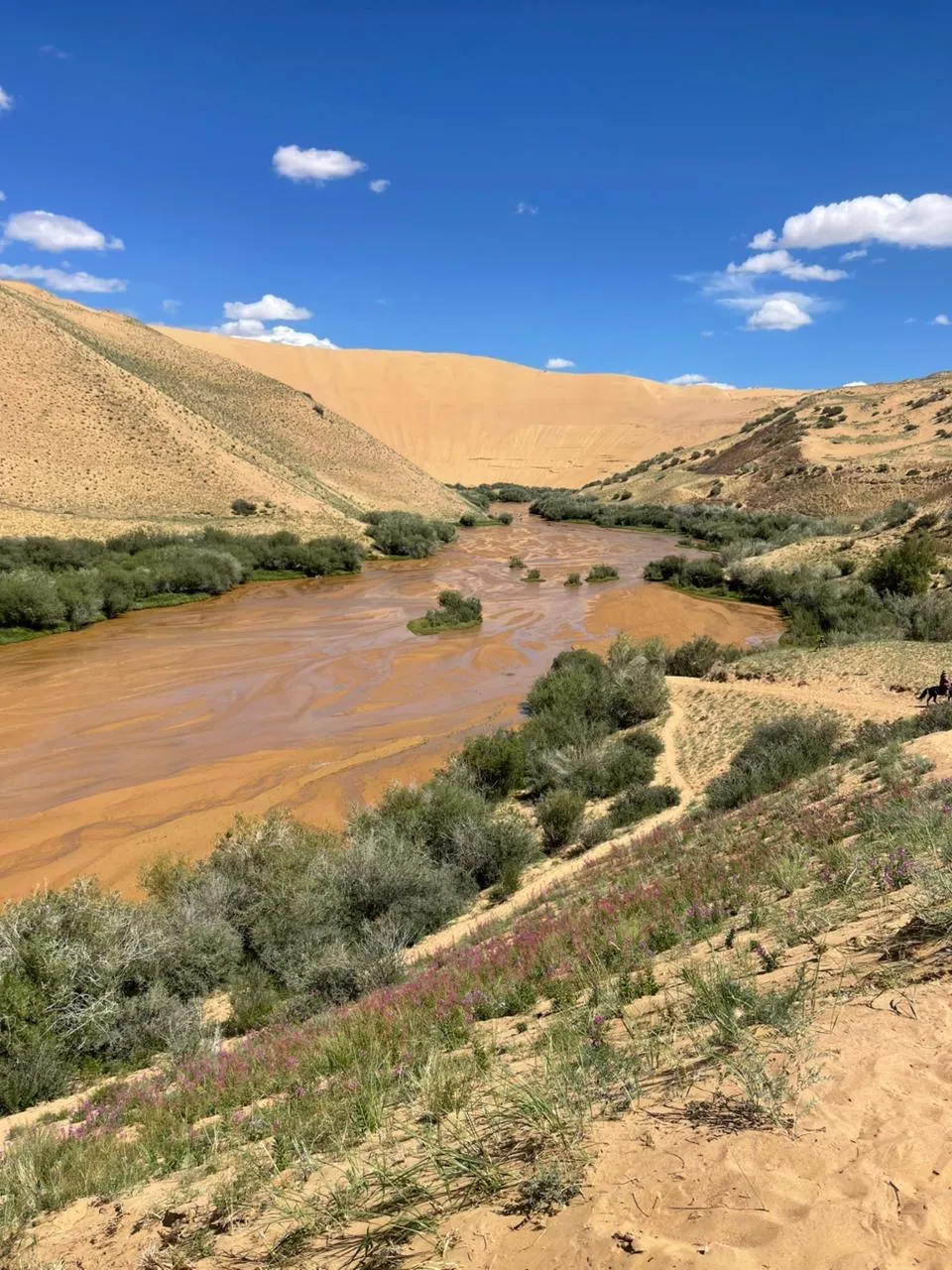 Gobi: Singing dunes, flaming cliffs, dinosaur fossils